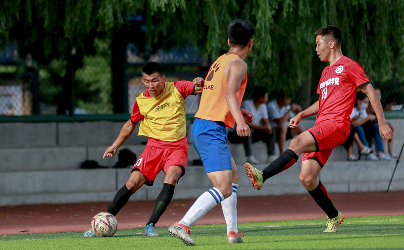 自由式滑雪 自由式滑雪
